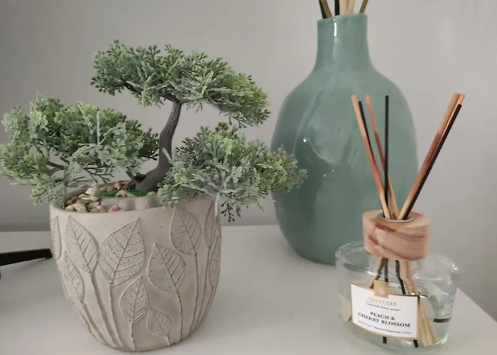 Sweet Sea 奥斯滕德